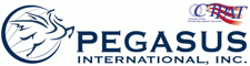Pegasus International, Inc.